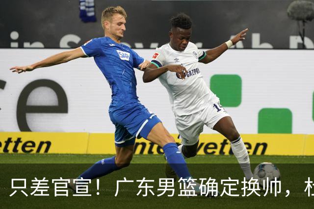 只差官宣！广东男篮确定换帅，杜锋正式下课，外籍教练团队即将加盟